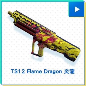 TS12 Flame Dragon 炎龍​