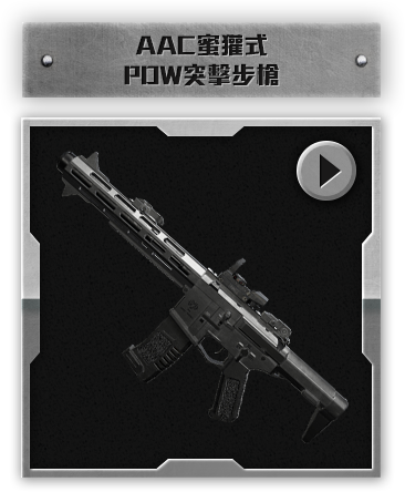 AAC蜜獾式PDW突擊步槍​