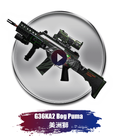 G36KA2 Bog Puma 美洲獅