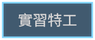 實習特工