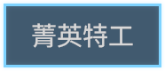 精英特工