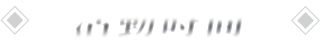 活動時間​