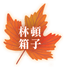 林頓箱子