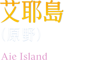 艾耶島