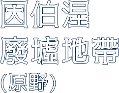 原野-因伯涅廢墟地帶