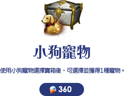 貴族學院風造型