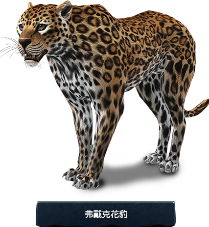 弗戴克花豹