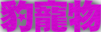 豹寵物