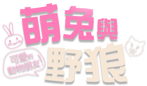 混沌象牙塔