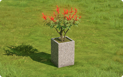 花盆