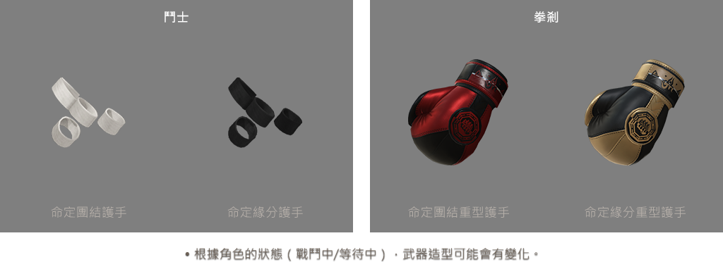 格鬥家(男)