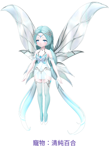 寵物：清純百合