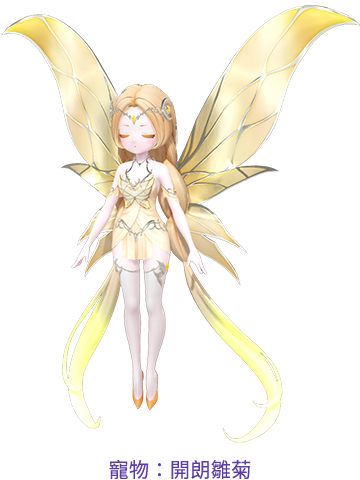 寵物：開朗雛菊