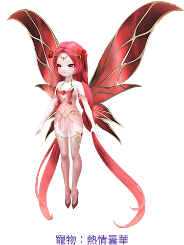 寵物：熱情曇華