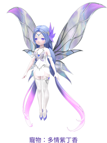 寵物：多情紫丁香