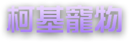 柯基寵物